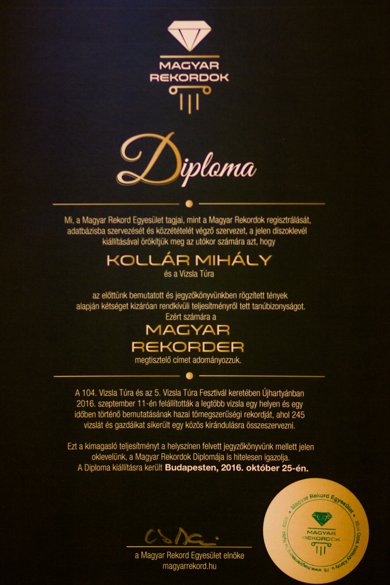 Magyar rekord Kollár Mihály diploma
